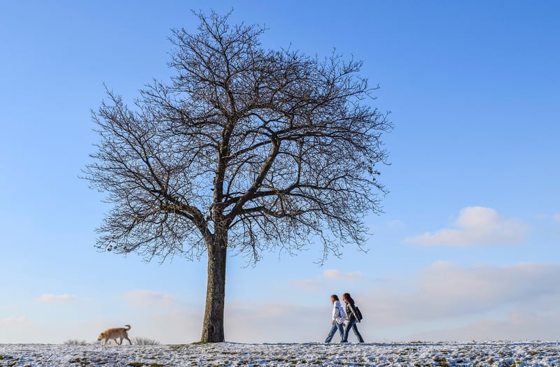Grounding Nature Walks